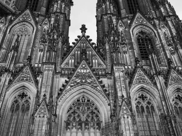 Cattedrale di San Pietro a Koeln, in bianco e nero — Foto Stock