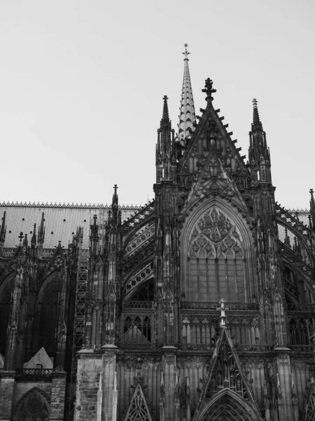 Katedra św. Piotra w Koeln, czarno-biała — Zdjęcie stockowe