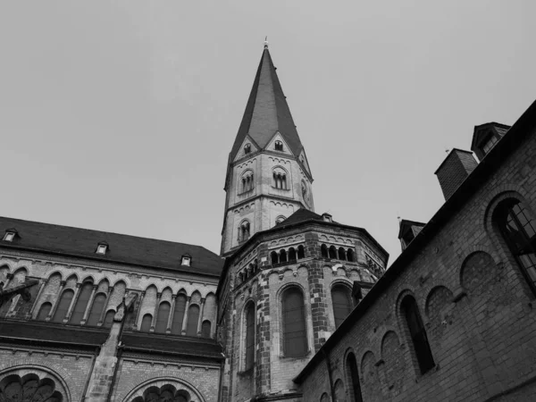 Bonner Muenster Betyder Bonn Minster Basilikakyrka Bonn Tyskland Svart Och — Stockfoto