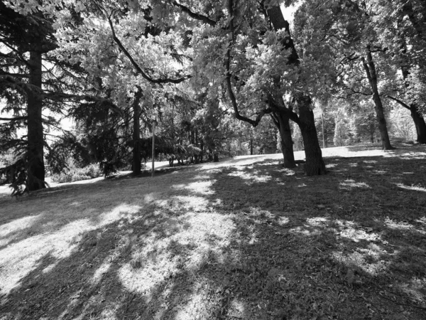 Parque Urbano Del Valentino Turín Italia Blanco Negro —  Fotos de Stock