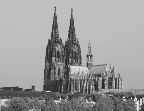 Koelner Dom Hohe Domkirche Sankt Petrus Vilket Betyder Peterskyrkan Gotisk — Stockfoto