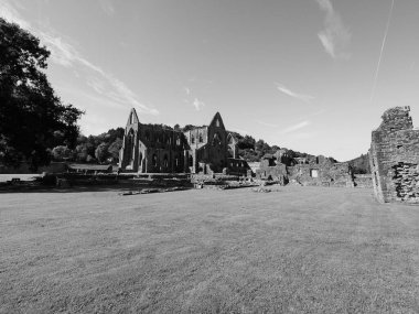 TINTERN, İngiltere - CIRCA SEPTEMBER 2019: Tintern Abbey (Galce Abaty Tyndyrn) harabeleri siyah beyaz