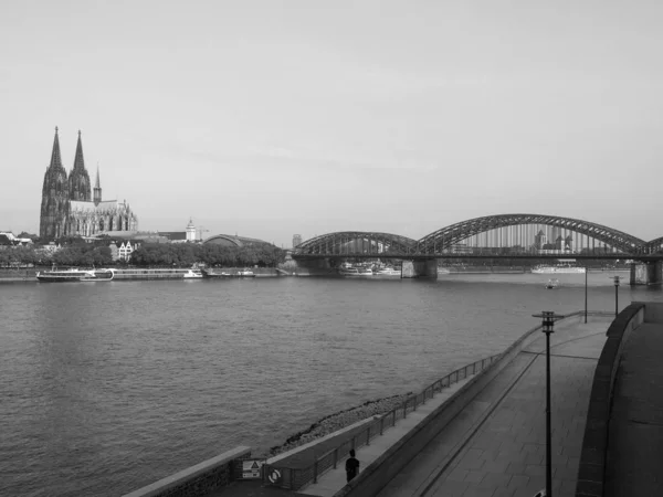 Koeln Alemania Circa Agosto 2019 Vista Del Perfil Urbano Desde —  Fotos de Stock