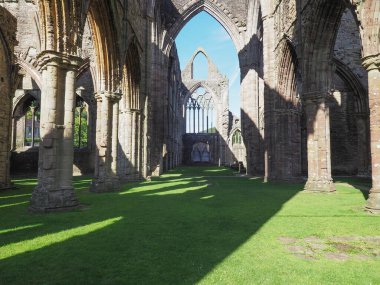 TINTERN, İngiltere - CIRCA SEPTEMBER 2019: Tintern Abbey (Galce Abaty Tyndyrn) harabeleri