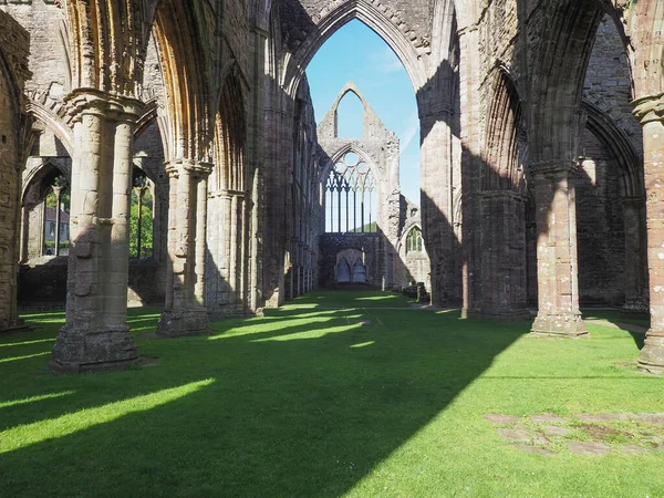 2019年9月 Tintern Circa September Tintern Abbey Abaty Tyndyrn Welsh Ruins — 图库照片