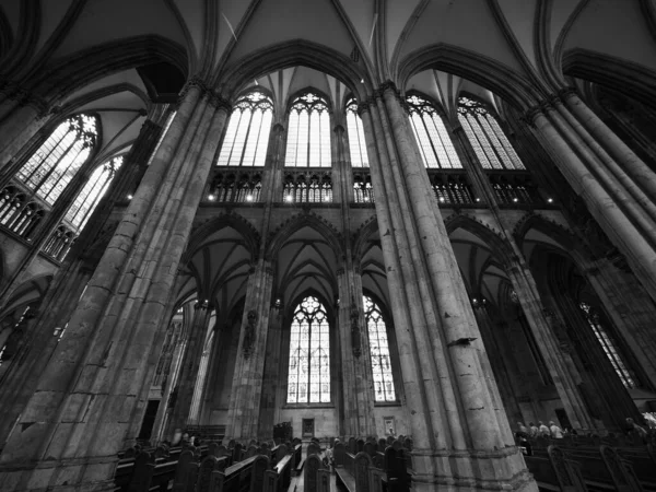 Koeln Tyskland Circa August 2019 Koelner Dom Hohe Domkirche Sankt — Stockfoto