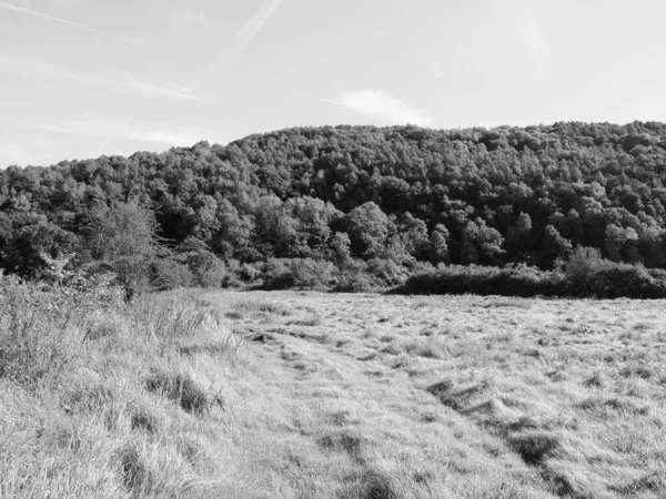 Vista Del Campo Tintern Reino Unido Blanco Negro — Foto de Stock