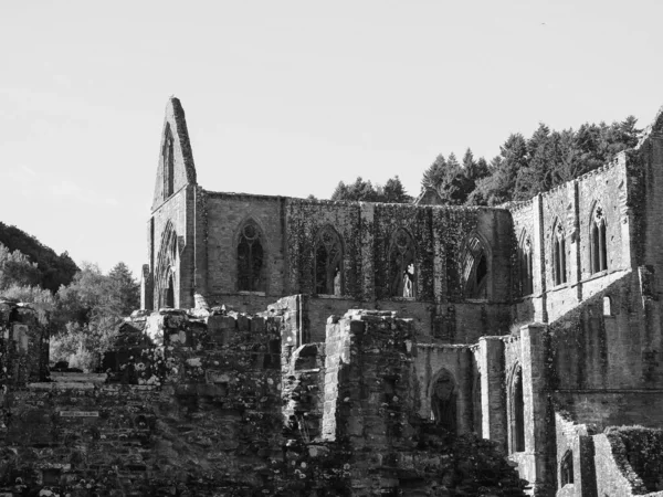 Tintern Abbey Abaty Tyndyrn Walesiska Ruiner Tintern Storbritannien Svart Och — Stockfoto