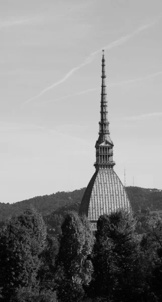 Крот Итальянском Городе Идмонт Черно Белом Цвете — стоковое фото