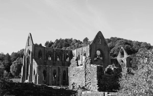 Tintern Abbey Abaty Tyndyrn Walesiska Ruiner Tintern Storbritannien Svart Och — Stockfoto