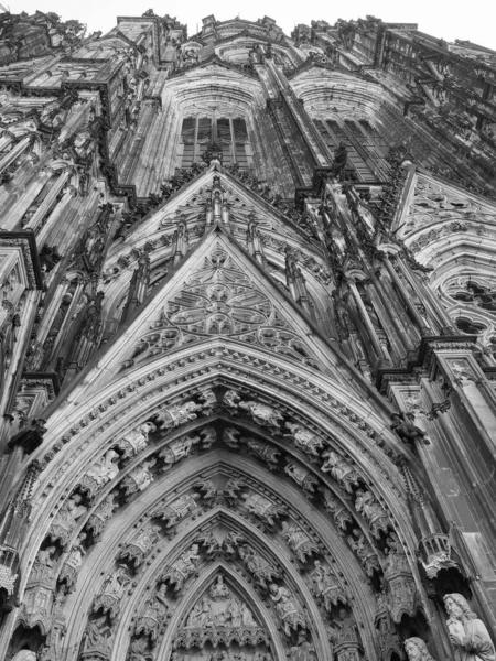 Koelner Dom Hohe Domkirche Sankt Petrus Gotische Kirche Köln Deutschland — Stockfoto