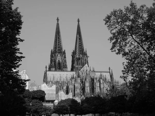ケルナー ホーエ ドムキルシュ サンクト ペトルス 聖ペテロ大聖堂を意味する ドイツ ケルンのゴシック様式の教会 — ストック写真