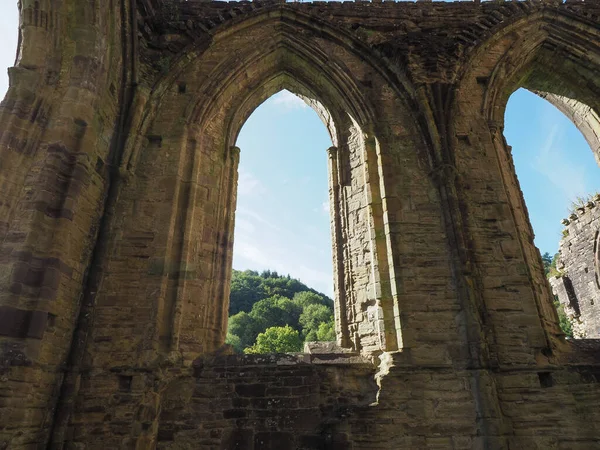 2019年9月 Tintern Circa September Tintern Abbey Abaty Tyndyrn Welsh Ruins — 图库照片