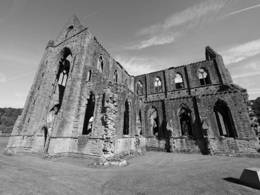 TINTERN, İngiltere - CIRCA SEPTEMBER 2019: Tintern Abbey (Galce Abaty Tyndyrn) harabeleri siyah beyaz
