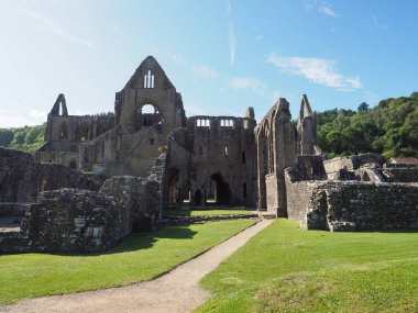 TINTERN, İngiltere - CIRCA SEPTEMBER 2019: Tintern Abbey (Galce Abaty Tyndyrn) harabeleri
