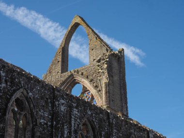TINTERN, İngiltere - CIRCA SEPTEMBER 2019: Tintern Abbey (Galce Abaty Tyndyrn) harabeleri