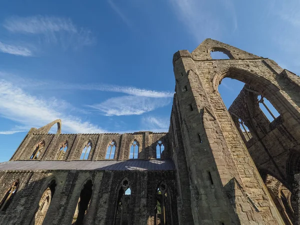 2019年9月 Tintern Circa September Tintern Abbey Abaty Tyndyrn Welsh Ruins — 图库照片