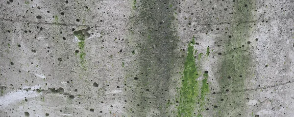 Hormigón Gris Envejecido Ancho Con Textura Musgo Útil Como Fondo —  Fotos de Stock