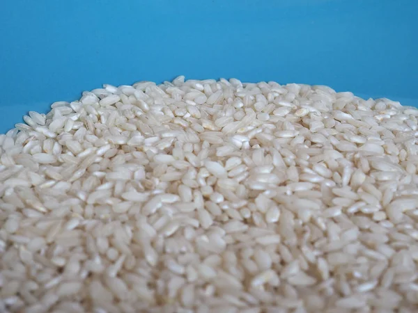 Carnaroli Rice Medium Grained Rice Pavia Novara Vercelli Provinces Northern — 스톡 사진