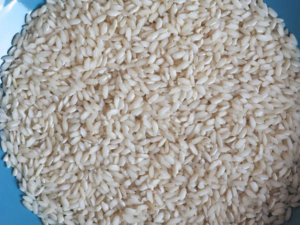 Carnaroli Rice Середній Рис Вирощується Павії Новарі Провінції Верчеллі Північній — стокове фото
