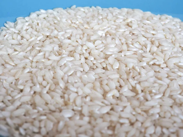 Carnaroli Rice Medium Grained Rice Pavia Novara Vercelli Provinces Northern — 스톡 사진