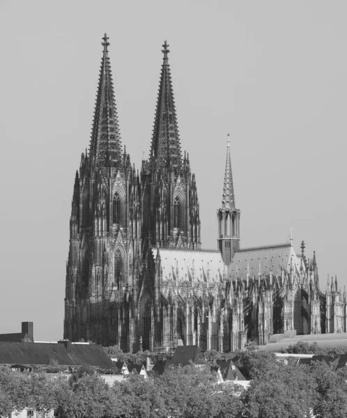 Koelner Dom Hohe Domkirche Sankt Petrus 意为圣彼得大教堂 — 图库照片