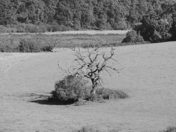 View Countryside River Wye Chepstow Black White — Stock Photo, Image