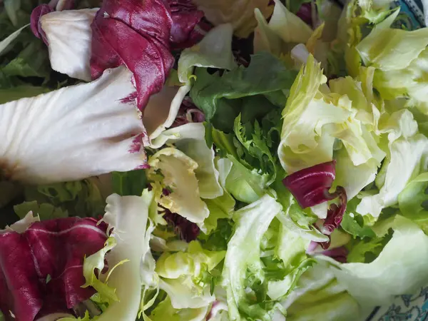 Yeşil Kırmızı Marullu Karışık Yaprak Salatası — Stok fotoğraf
