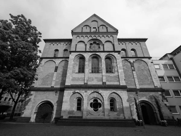 Andreas Romanische Basilika Köln Deutschland Schwarz Weiß — Stockfoto