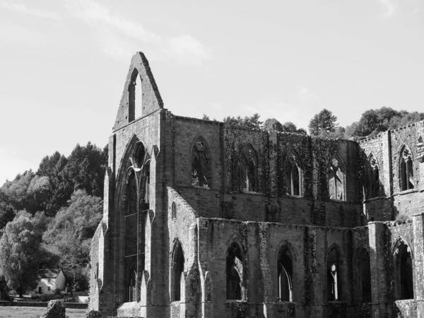 Tintern Circa Wrzesień 2019 Ruiny Opactwa Tintern Abaty Tyndyrn Walijsku — Zdjęcie stockowe