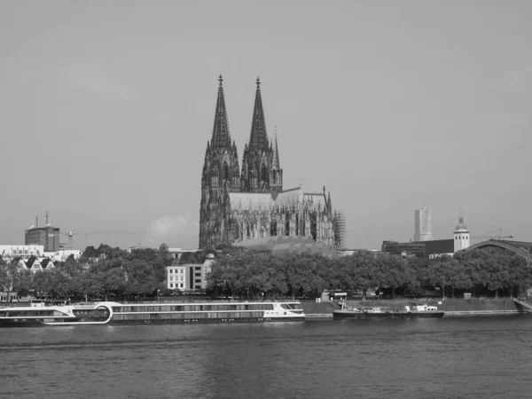 Koeln Niemcy Circa Sierpień 2019 Widok Panoramę Miasta Strony Rzeki — Zdjęcie stockowe