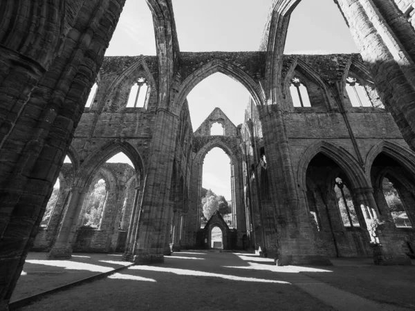 Tintern Circa September 2019 Tintern Abbey Abaty Tyndyrn Welsh Руїни — стокове фото