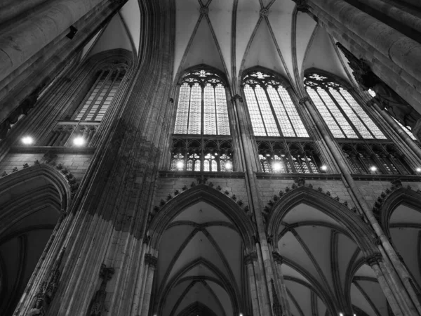 Koeln Tyskland Circa August 2019 Koelner Dom Hohe Domkirche Sankt — Stockfoto