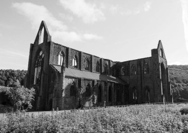 Tintern Abbey (Galce Abaty Tyndyrn) Tintern 'de harabeler, siyah beyaz Uk
