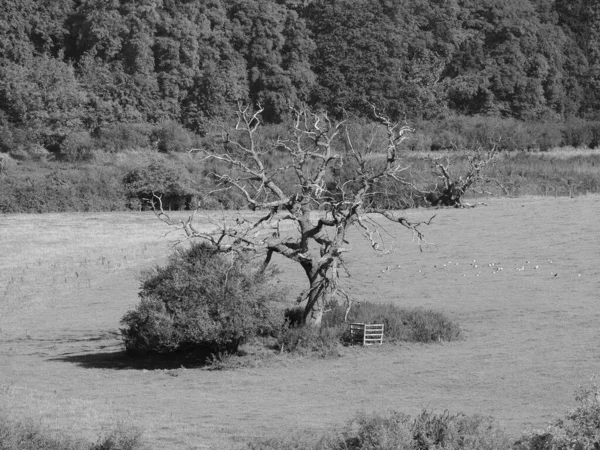 チェプストウのワイ川の近くの田舎の景色 黒と白で英国 — ストック写真