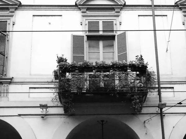 Цветы Балконе Улице Турине Италия Черно Белом — стоковое фото