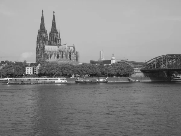 Koeln Γερμανία Circa Αυγουστοσ 2019 Άποψη Του Ορίζοντα Της Πόλης — Φωτογραφία Αρχείου