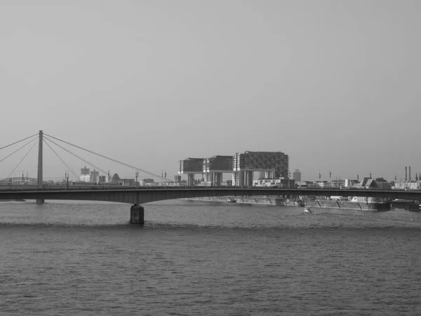 Koeln Germany Circa Ağustos 2019 Siyah Beyaz Nehirden Şehrin Ufuk — Stok fotoğraf