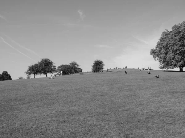 ロンドン イギリス Circa 2019年9月 黒と白のリージェント公園の北のプリムローズ — ストック写真