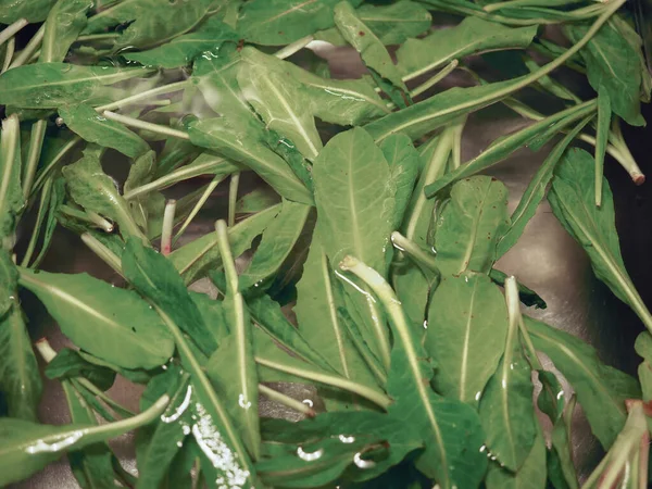 Салат Lactuca Sativa Листья Овощей Вегетарианской Пищи — стоковое фото