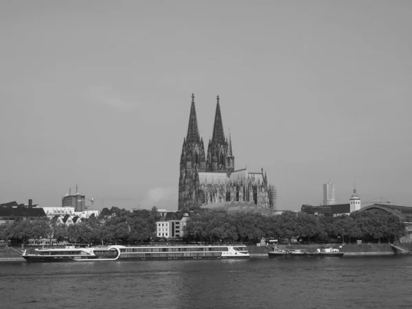 Koeln Germany Circa August 2019 View City Skyline River Black — Stock Photo, Image