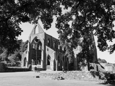 TINTERN, İngiltere - CIRCA SEPTEMBER 2019: Tintern Abbey (Galce Abaty Tyndyrn) harabeleri siyah beyaz