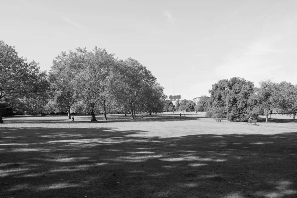 ロンドン イギリス Circa 2019年9月 黒と白のリージェント公園の北のプリムローズ — ストック写真