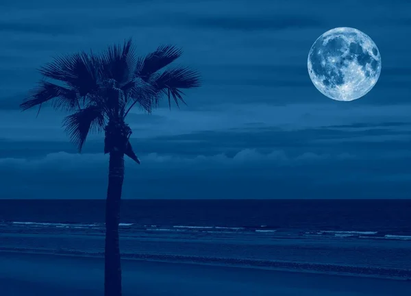 Playa Tropical Con Palmera Cielo Azul Mar Por Noche Luz — Foto de Stock