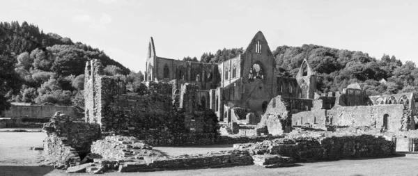 Breed Panoramisch Uitzicht Tintern Abbey Abaty Tyndyrn Het Welsh Ruïnes — Stockfoto