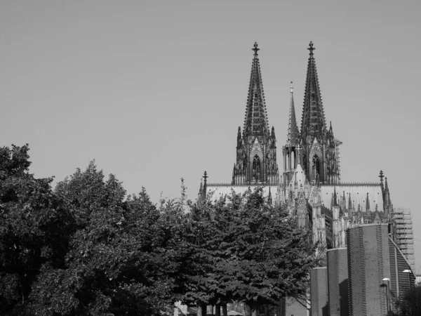 Koelner Dom Hohe Domkirche Sankt Petrus Vilket Betyder Peterskyrkan Gotisk — Stockfoto