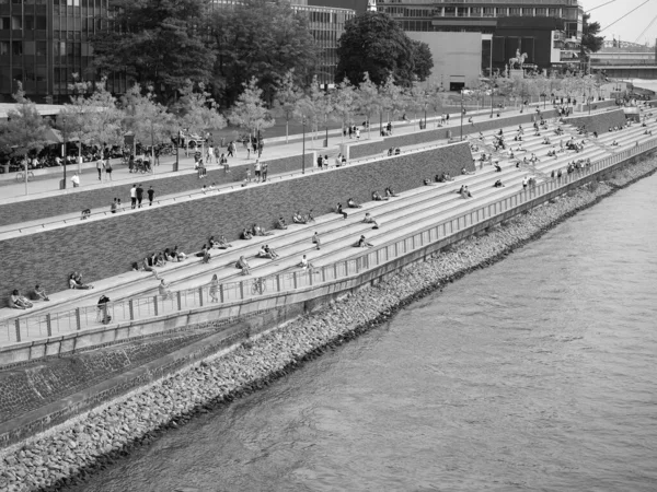 Koeln Duitsland Circa August 2019 Mensen Die Zonnebaden Rheinboulevard Lopen — Stockfoto