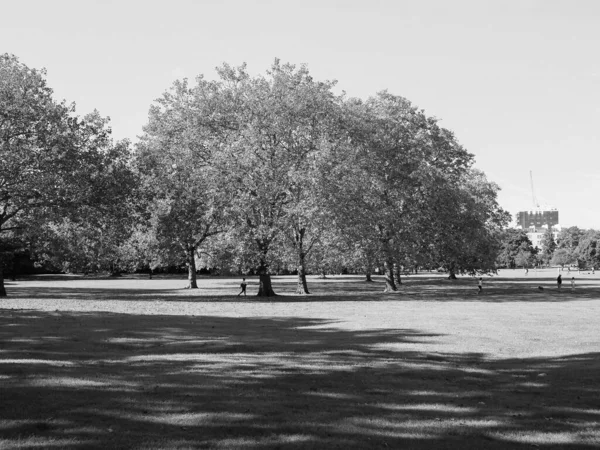 London Circa September 2019 Primrose Hill North Regent Park Black — Stock Photo, Image