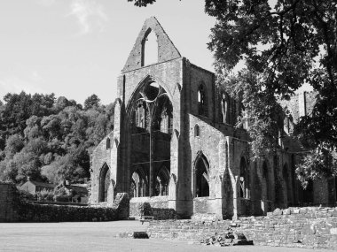 TINTERN, İngiltere - CIRCA SEPTEMBER 2019: Tintern Abbey (Galce Abaty Tyndyrn) harabeleri siyah beyaz