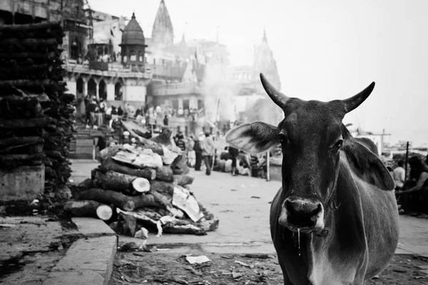 Eski Varanasi şehir içinde geçmiş antik hindu tapınakları ile yakalanan Hindistan